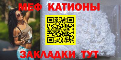 шишки Кингисепп
