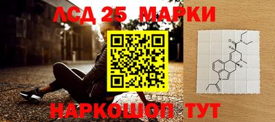 шишки Кингисепп
