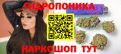 шишки Кингисепп