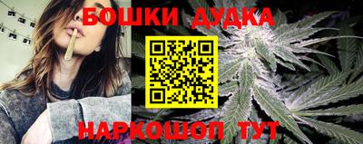 шишки Кингисепп