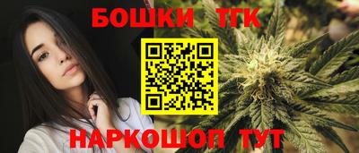 шишки Кингисепп