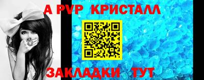 шишки Кингисепп
