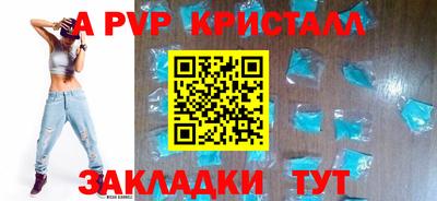 шишки Кингисепп
