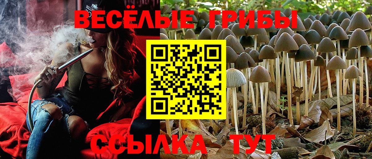 Псилоцибиновые грибы прущие грибы Конаково
